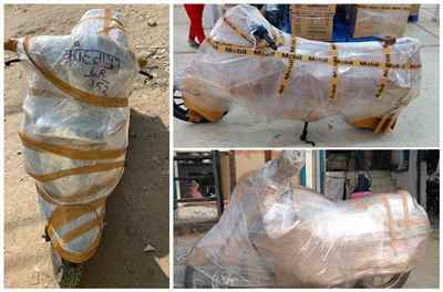 Bike Transportation Services