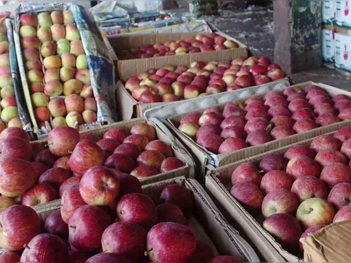 Kashmir and Himachal Apples