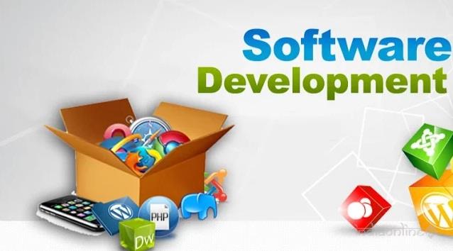 Software Development
