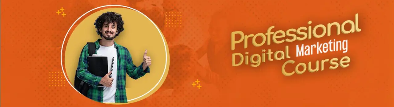 Professional Digital Marketing Course