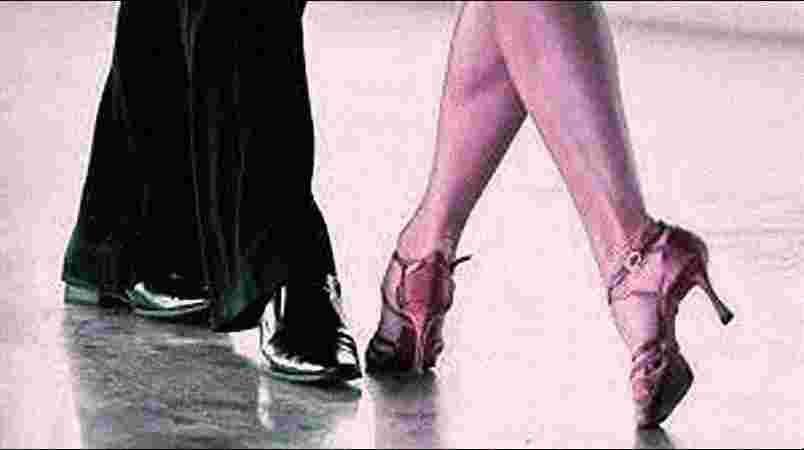 saani events jodhpur , event planer jodhpur