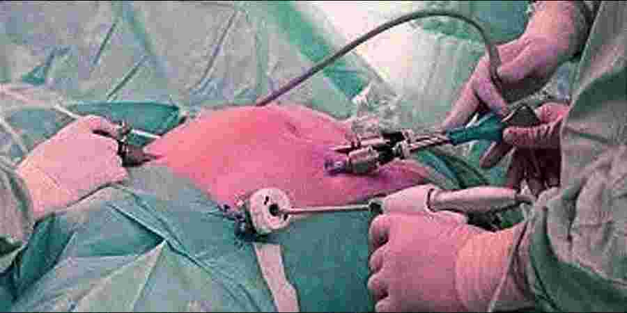 Care n Cure Clinic - Physiotherapist & Chiropractor