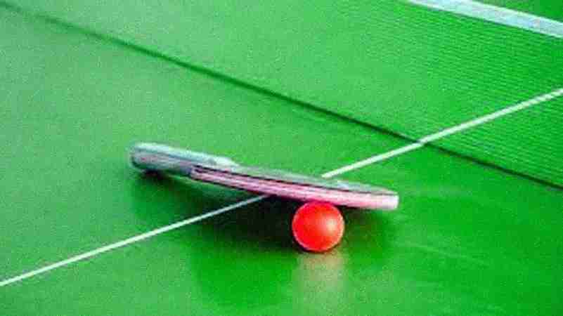 Delight Sporting - Table Tennis