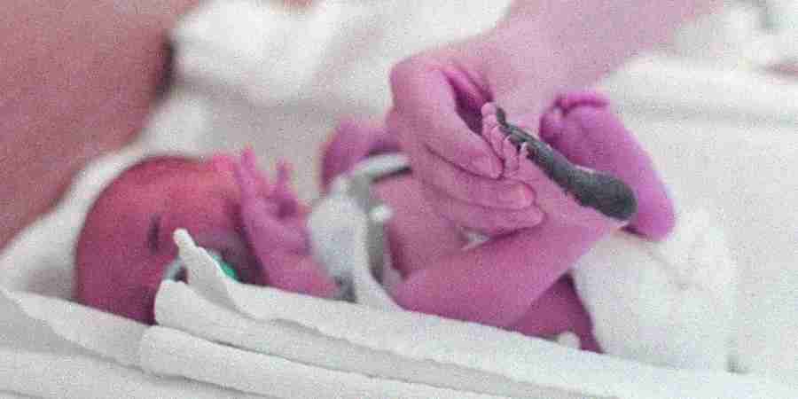 Birth Certificate Application