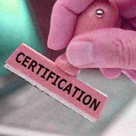 Penny Online Solution