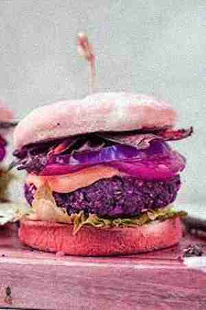 Chicken Burger Chicken Burger