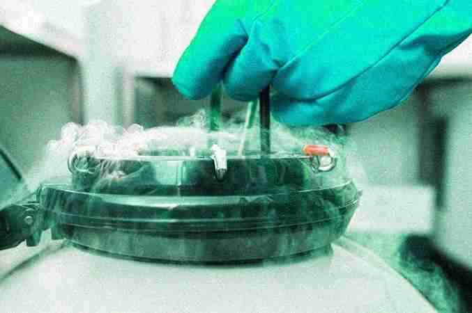 Sushrutha Medical Center Sushrutha Medical Center