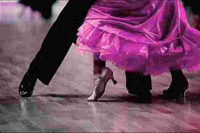 saani events jodhpur , event planer jodhpur