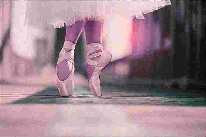 saani events jodhpur , event planer jodhpur