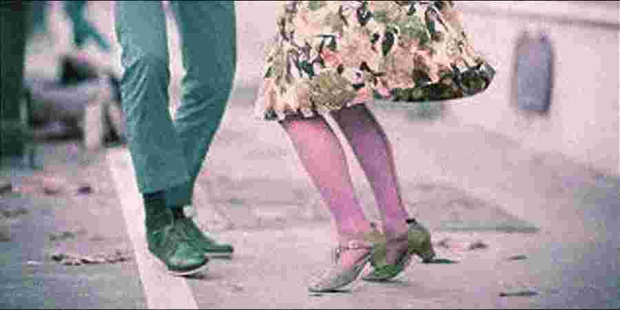 saani events jodhpur , event planer jodhpur