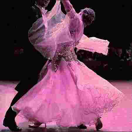 saani events jodhpur , event planer jodhpur