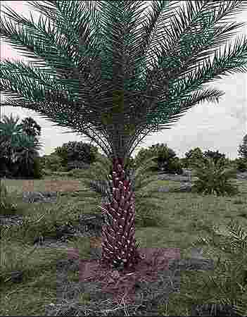 Beauty Nursery Beauty Nursery