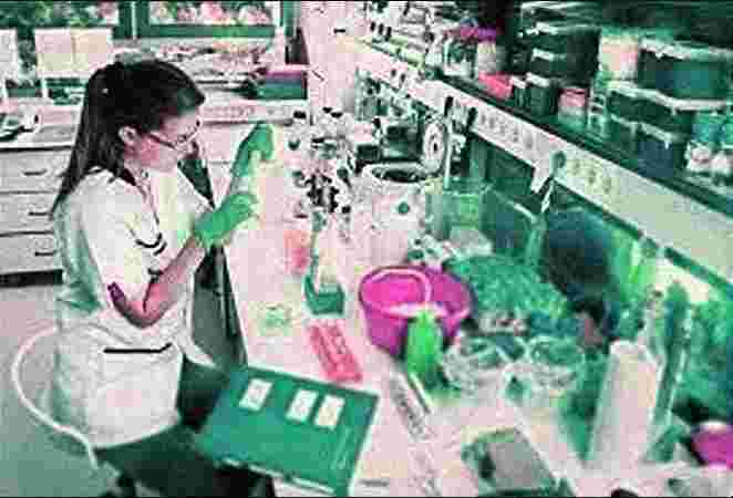 Diploma in Biotechnology