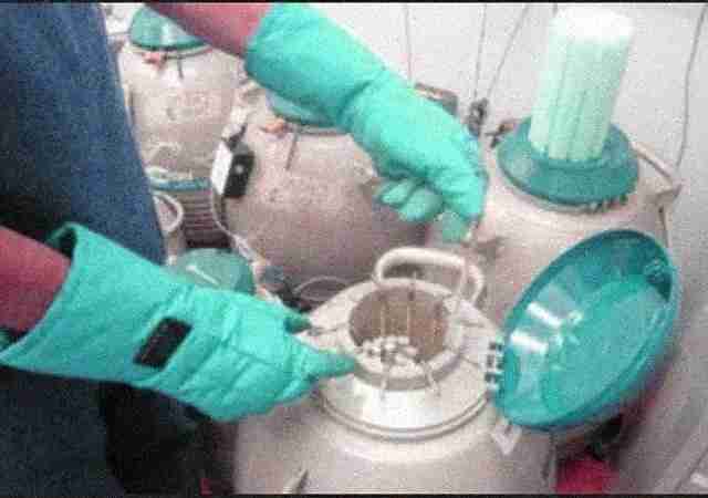 Ferticity IVF & Fertility Clinics