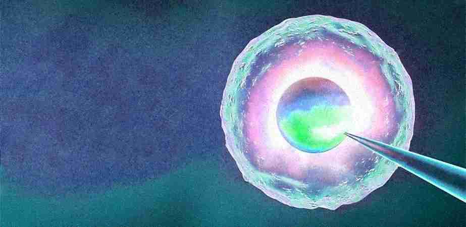 Ferticity IVF & Fertility Clinics