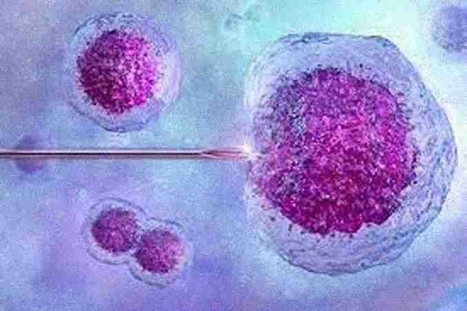Ferticity IVF & Fertility Clinics