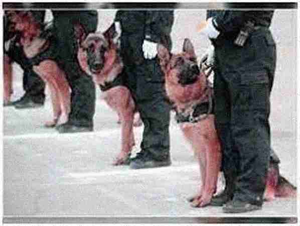 Blackwater protection services pvt Ltd