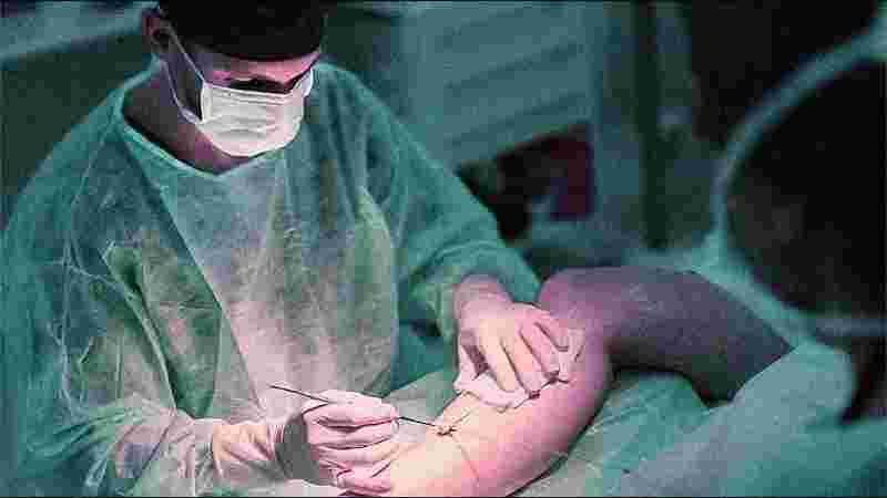 Aline Dent Aline Dent