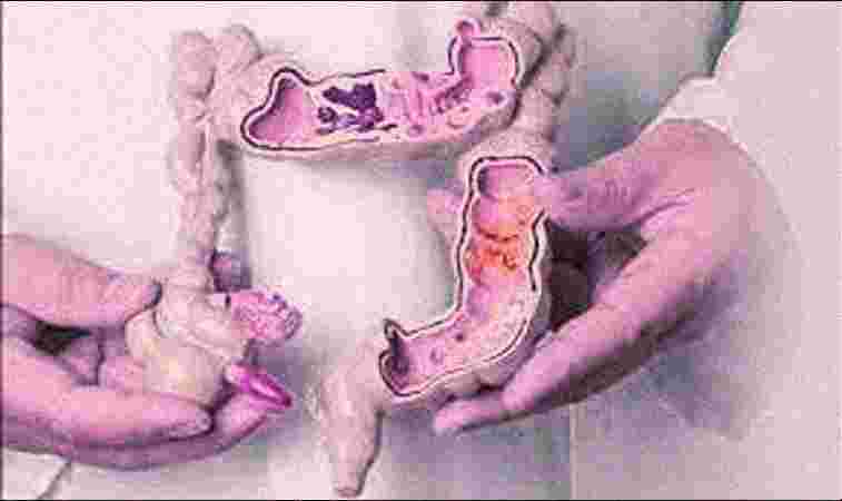 Miracare Hospital Miracare Hospital