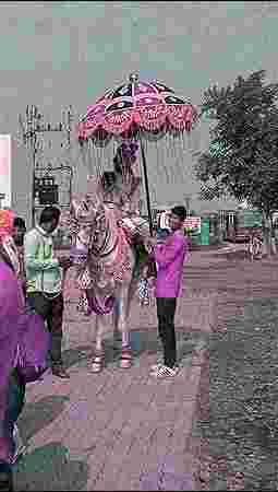 Groom Umbrella Carrier