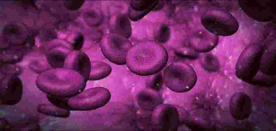 Care n Cure Clinic - Physiotherapist & Chiropractor