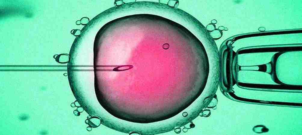 Ferticity IVF & Fertility Clinics