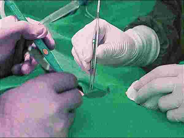 Care n Cure Clinic - Physiotherapist & Chiropractor Care n Cure Clinic - Physiotherapist & Chiropractor