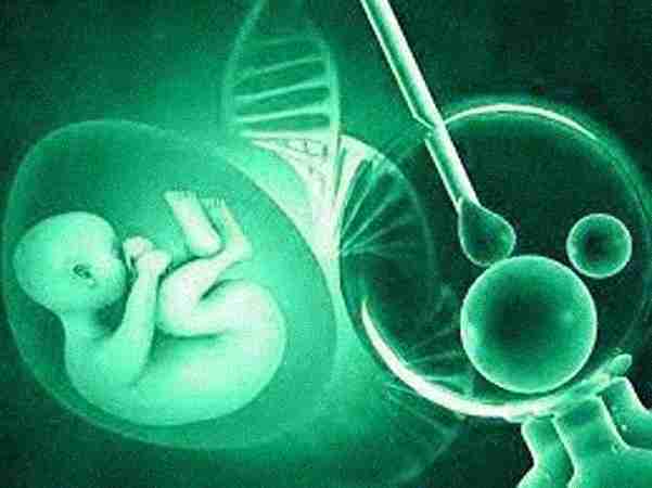 618, 80 Feet Rd, near Maharaja Signal, 4th Block