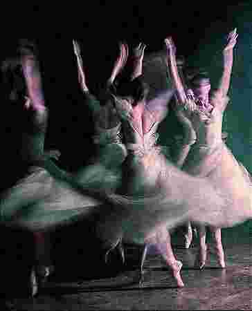 Greenath Kashmir Event Management Company Greenath Kashmir Event Management Company