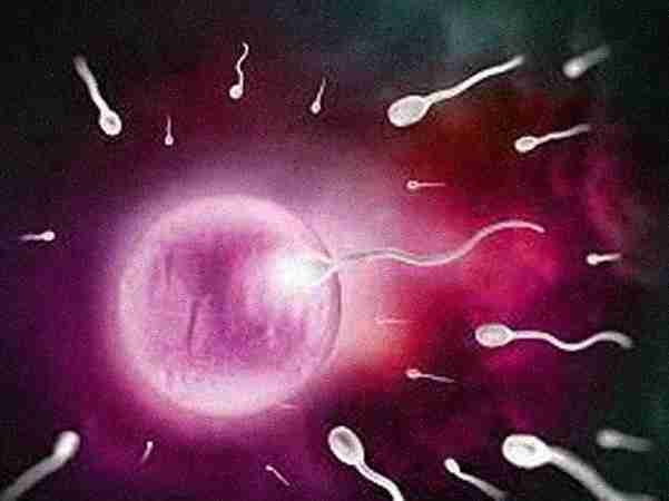 Thakral Hospital & Fertility Centre - Maternity and Gynecolo Thakral Hospital & Fertility Centre - Maternity and Gynecolo