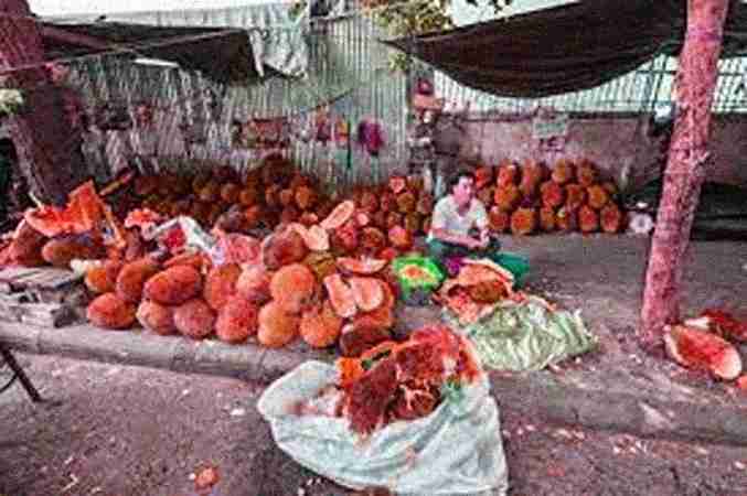 Jackfruit