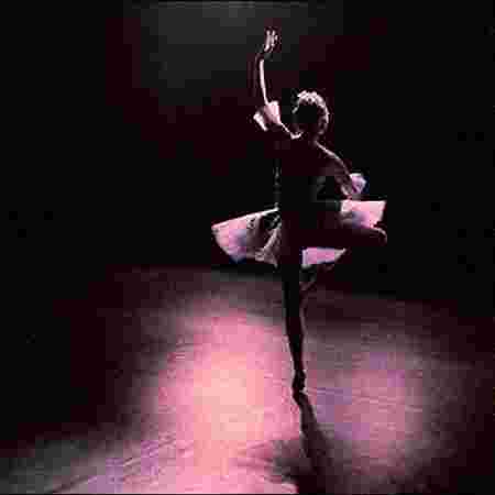 saani events jodhpur , event planer jodhpur