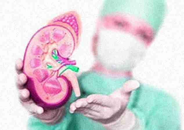 Quadra Hospital Quadra Hospital