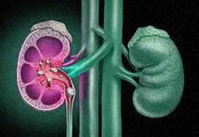 Anvaya Healthcare Gurgaon