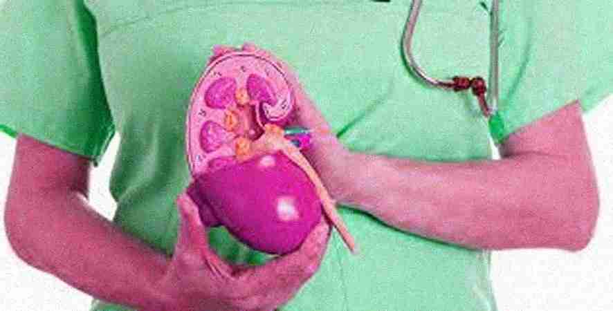 Anvaya Healthcare Gurgaon Anvaya Healthcare Gurgaon