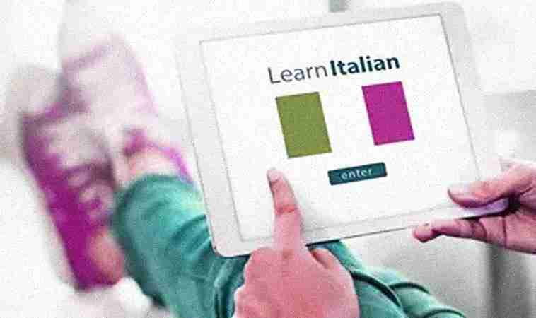 The Foreign Language Institute The Foreign Language Institute