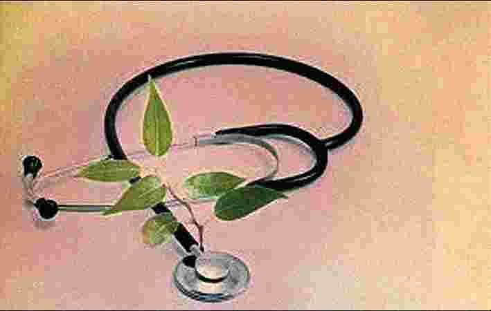 Nirmalam Siddha & Ayurveda Health Care Centre