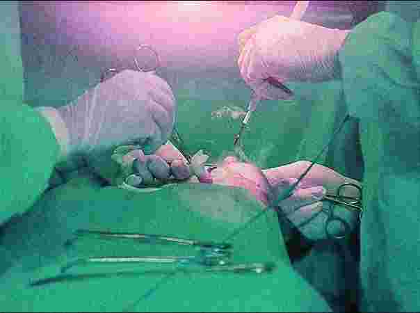 Care n Cure Clinic - Physiotherapist & Chiropractor Care n Cure Clinic - Physiotherapist & Chiropractor