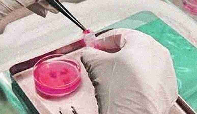 Ferticity IVF & Fertility Clinics