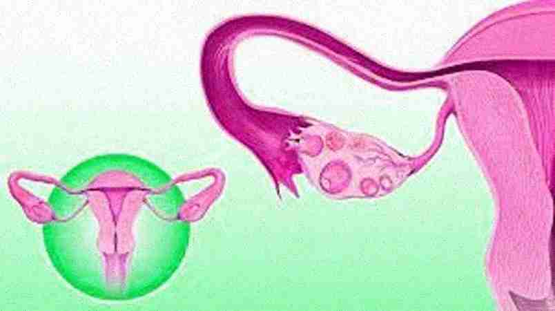 Ferticity IVF & Fertility Clinics