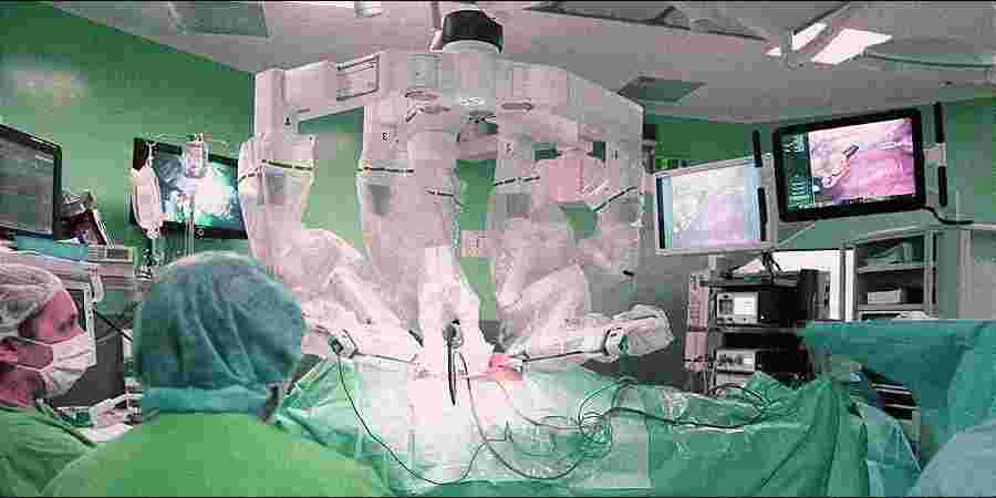 Aline Dent Aline Dent