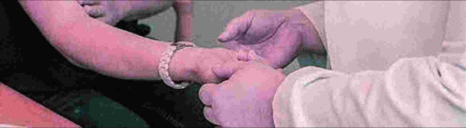 Aline Dent Aline Dent