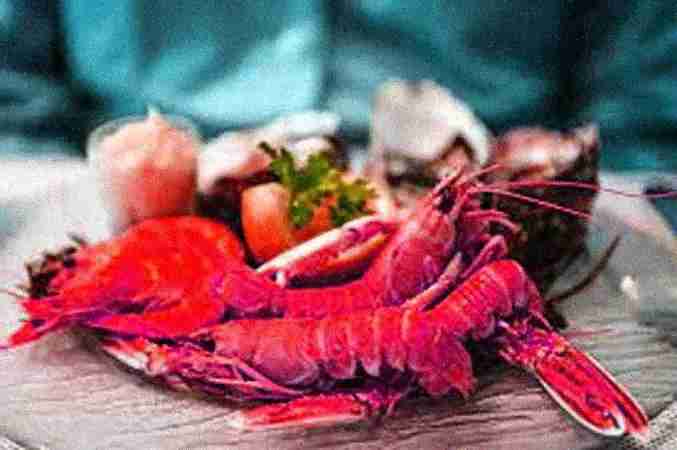 Bhruvam Garden Restaurant Bhruvam Garden Restaurant