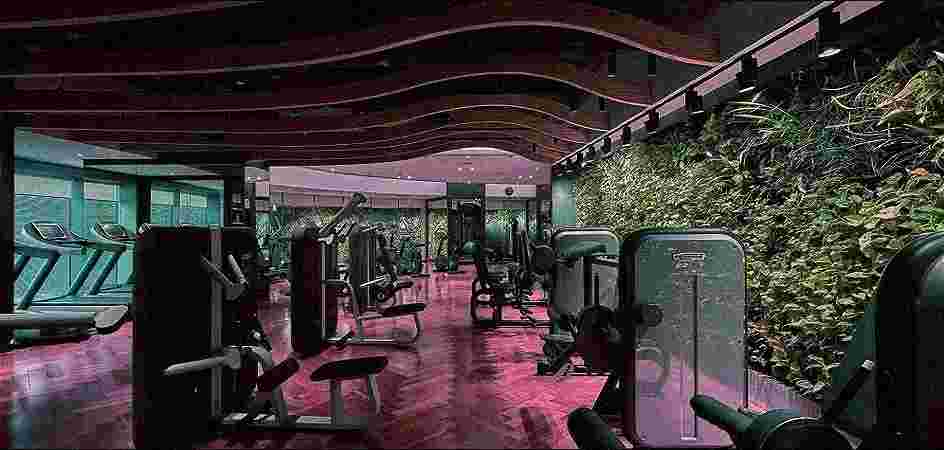 Spa and Wellness Services Spa and Wellness Services