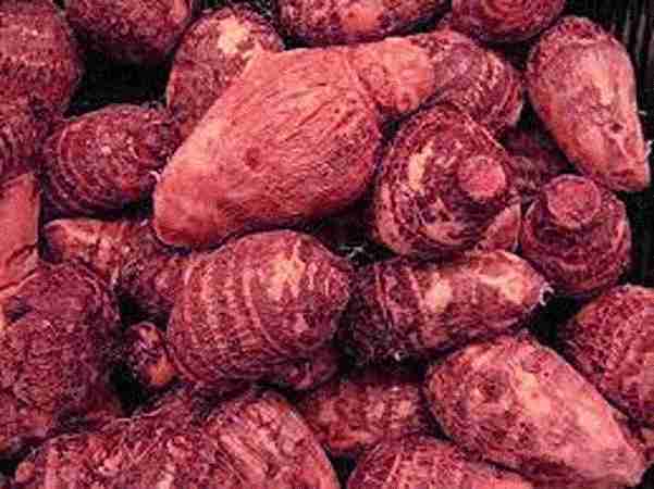 Taro Root / Arbi