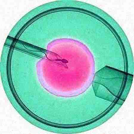 618, 80 Feet Rd, near Maharaja Signal, 4th Block