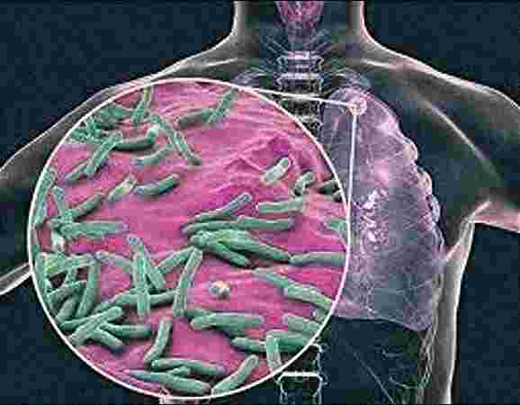 Dr Shivanshu Raj Goyal