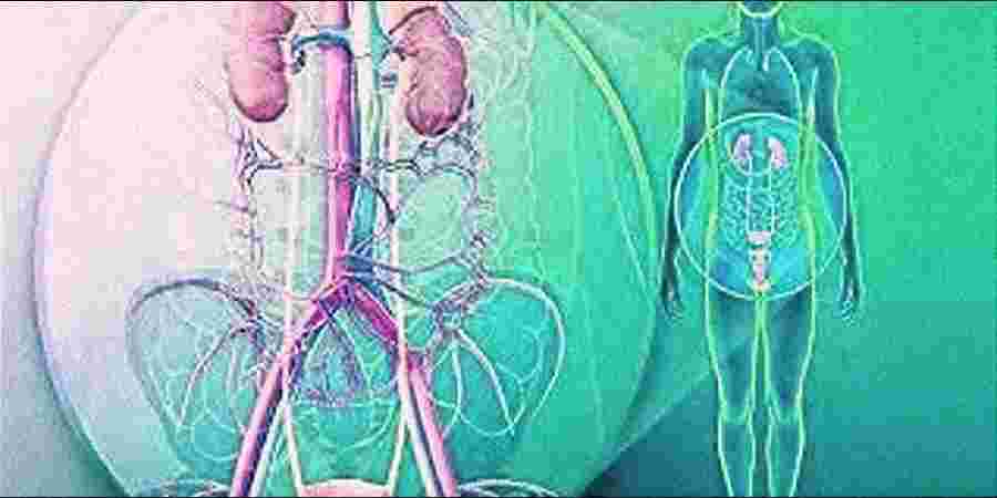 Varad Multispeciality Hospital, Punawale, Pimpri Chinchwad Varad Multispeciality Hospital, Punawale, Pimpri Chinchwad