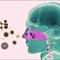 Allergic Rhinitis Management in Bhubaneswar