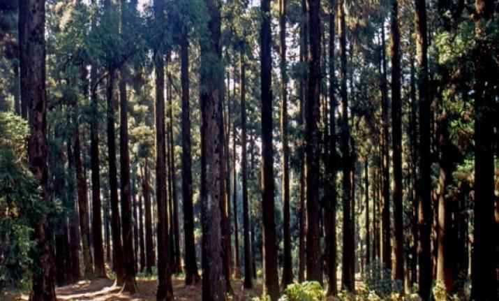 डाउ हिल, पश्चिम बंगाल भारत के सबसे भूतिया स्थल